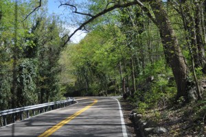 chickamauga 081